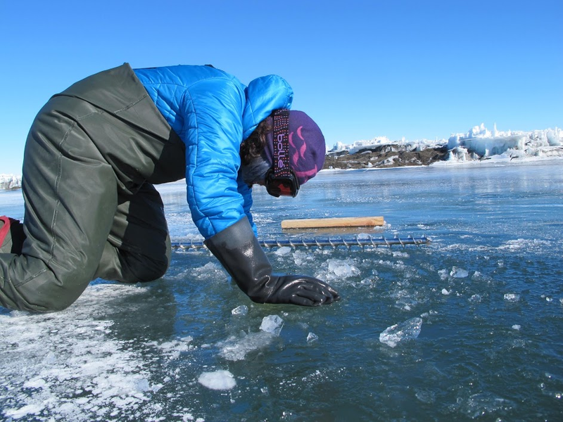 A researcher working on a slushy section of the McMurdo ice shelf.